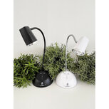 Flash Cure Wireless LED Lamp &ndash; Black