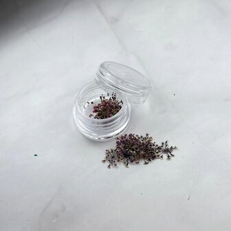 Nail Art Flowers - Purple