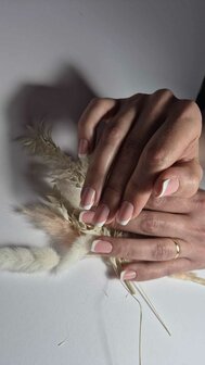 Workshop: Dual Forms Basics &ndash; September 7, 2025 