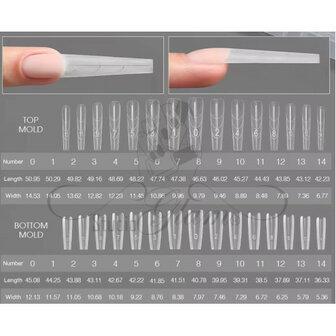 Studio Glam Sandwich Dual Forms (ALMOND)