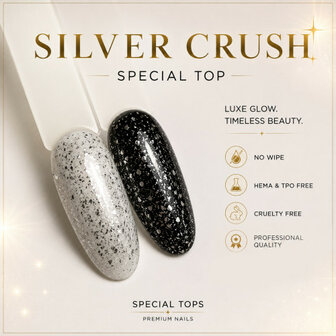Studio Glam Silver Crush top