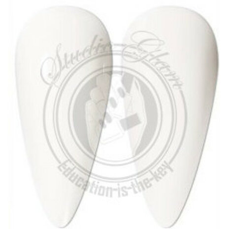 Studio Glam Amazing White  01