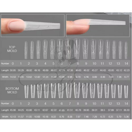 Studio Glam Sandwich Dual Forms (COFFIN)