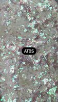 Atos - Opal Flakes by Rediershof