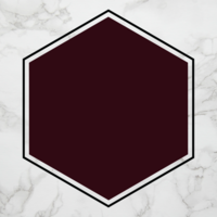 RDRS Gel Polish 'Express' 8ml