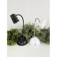 Flash Cure Wireless LED Lamp – Black